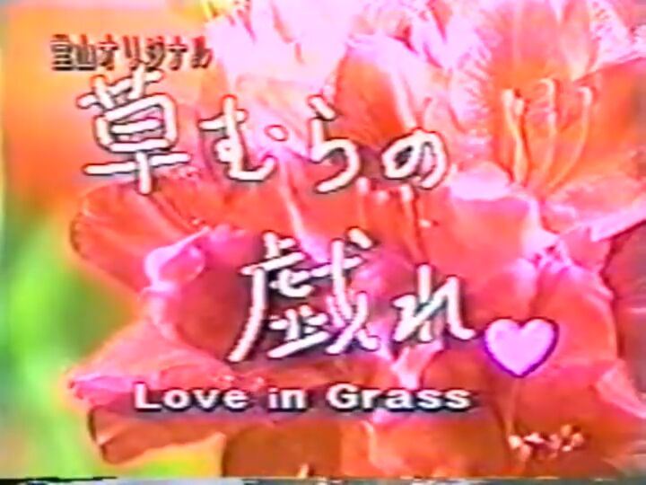 草むらの戯れ♡ ～Love in Grass～ 复古怀旧-第1张